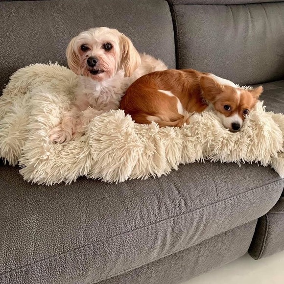 Meet your Posher, Pamela - Picture 9 of 10